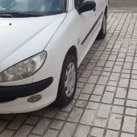 ۲۰۶اسدیدوگانهشرکت