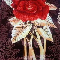 دو عدد پتو ابریشمی ضخیم دولایه|رختخواب، بالش، پتو|هشتگرد, مدرس|دیوار