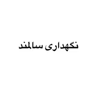 نگهداری از سالمند