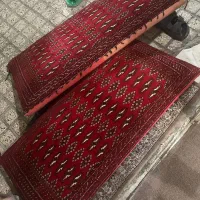 پشتی