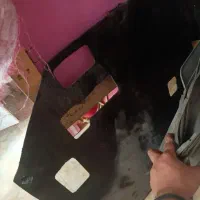 سینی موتوروفنروانباری پژوسمند|قطعات یدکی و لوازم جانبی|آبادان, |دیوار