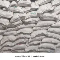 برنج سوزنی فجر بدون واسطه از کشاورز از شهر گرگان