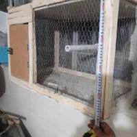 قفس جفت کن کبوتر فنچ و مرغ عشق