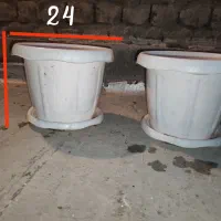 گلدان سرامیکی و پلاستیکی|گل و گیاه طبیعی|قم, زند آباد|دیوار