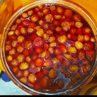 لواشک ترشک|خوردنی و آشامیدنی|قم, یزدان‌شهر|دیوار