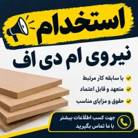 استخدام نیروی فنی ام دی اف