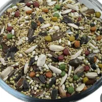 هفت تخم پرنده (تازه ، مقوی،پر فروش)