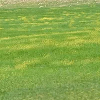 زمین-باغ-ویلا-شوشتر-بهترین-نقطه-جهت-همکاری