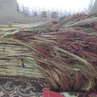 جارو شهری قرمز درجه ۱|لوازم نظافت|کرمانشاه, |دیوار