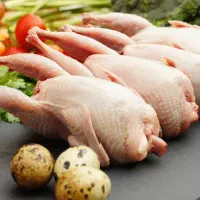 گوشت بلدرچین
