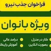 اگر میخوای درآمد داشته باشی ولی در منزل