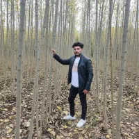 نهال صنوبر در خرم آباد تضمین رشد و بازدهی عـالی