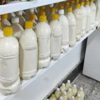 کشک گاوی عمده برای ‌لبنیات ها گوسفندروغن