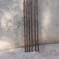 خزران 2موجود|گل و گیاه طبیعی|شادگان, |دیوار