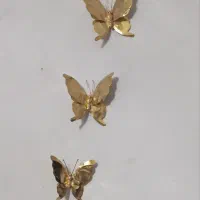 پروانه برنجی