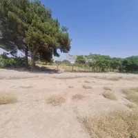 فروش زمین ۳۸۰۰ متری مجوز گلخانه قابل تهاتر