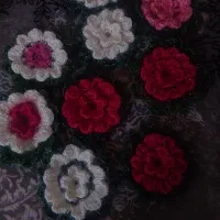 ست لیف واسکاج|لوازم خیاطی و بافتنی|مشهد, کوشش|دیوار