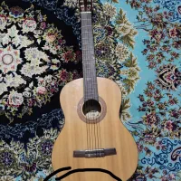 فروش گیتار هانر
