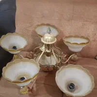 لوستر سالم وبزرگ