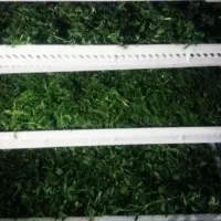 دستگاه خشک کن ، میوه ، سبزی ، غلات|ماشینآلات صنعتی|گرگان, |دیوار