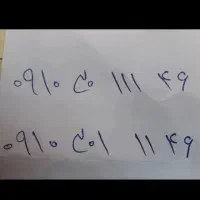 ۰۹۱۰-۳۰۱-۱۱۴۶