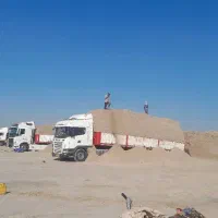 کاه نیشکر ر مقویتر بصرفه تر از کاه گندم|حیوانات مزرعه|فردیس, منظریه|دیوار