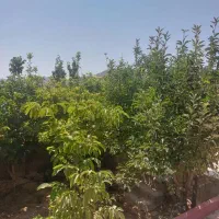 باغ-1400-متری-شخصی-دالین-سپیدان
