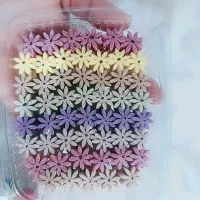 قند نبات گیاهی