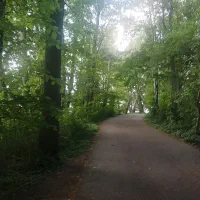 جذب سرمایه گذار
