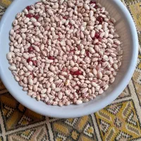 لوبیا چیتی