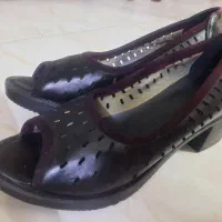 کفش مجلسی