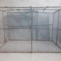 قفس مرغ خروس