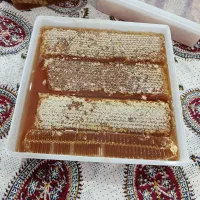 عسل ارگانیک (بدون تغذیه)