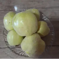 فروش به محلی ترش و خوش طعم وعطر با کیفیت|خوردنی و آشامیدنی|شاهین دژ, |دیوار