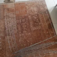 پارک گربه و سگ