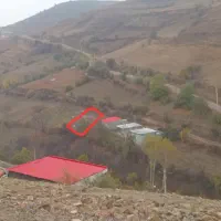 زمین