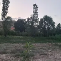 فروش زمین با درختان ۲ ساله در فیروزکوه