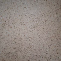 فروش برنجطلارم محلی (سنگه طارم)مازندران|خوردنی و آشامیدنی|کیش, |دیوار