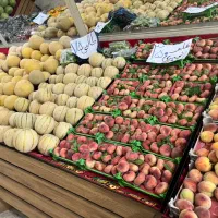 واگذاری لوازم میوه فروشی