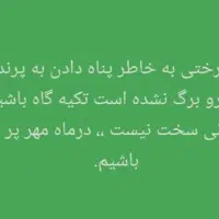 کتونی عکس بعد|کیف، کفش، کمربند|تهران, صاحب الزمان|دیوار