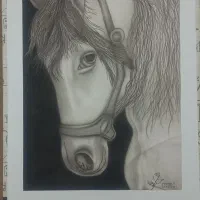 «سیاه قلم»