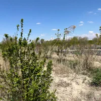 زمین-چهاردیواری-باغچه