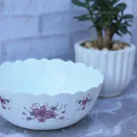 پیاله .ابگوشت خوری .کاسه سالاد ارکوپال|ظروف سرو و پذیرایی|شیروان (خراسان), |دیوار