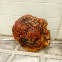 فسیل شهاب سنگ