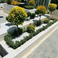 باغبانی وگل کاری وهرس کاری وتعویض خاک گلدان