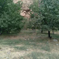 فروش زمین|فروش زمین و ملک کلنگی|مشهد, کارده|دیوار