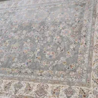 قالی ۱۲ متری|فرش|شیراز, درکی|دیوار