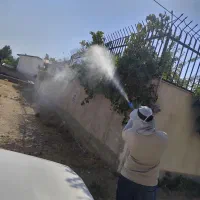 کارشناس ارشد باغبانی و فضای سبز|خدمات باغبانی و درختکاری|تهران, شاهین|دیوار