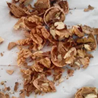 گردو|عمده‌فروشی|اسفراین, |دیوار