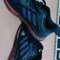 سایز ۴۱ خارجی اصل